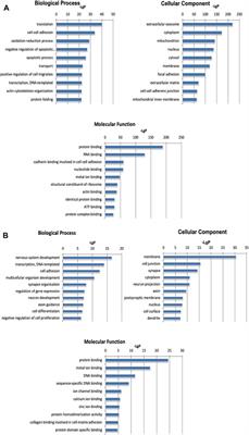 lncRNA Mirt1: A Critical Regulatory Factor in Chronic Intermittent Hypoxia Exaggerated Post-MI Cardiac Remodeling